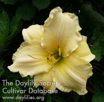Daylily Easter Gown